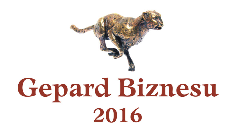 Logo gepardów biznesu 2016
